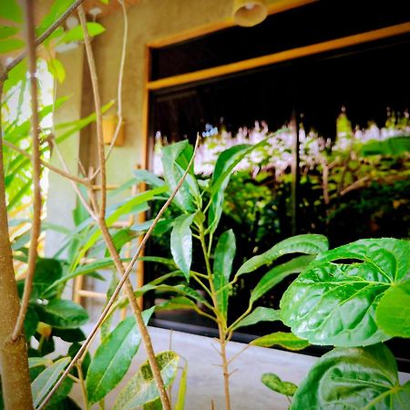 The Ohm Siargao Resort ゼネラル・ルナ エクステリア 写真