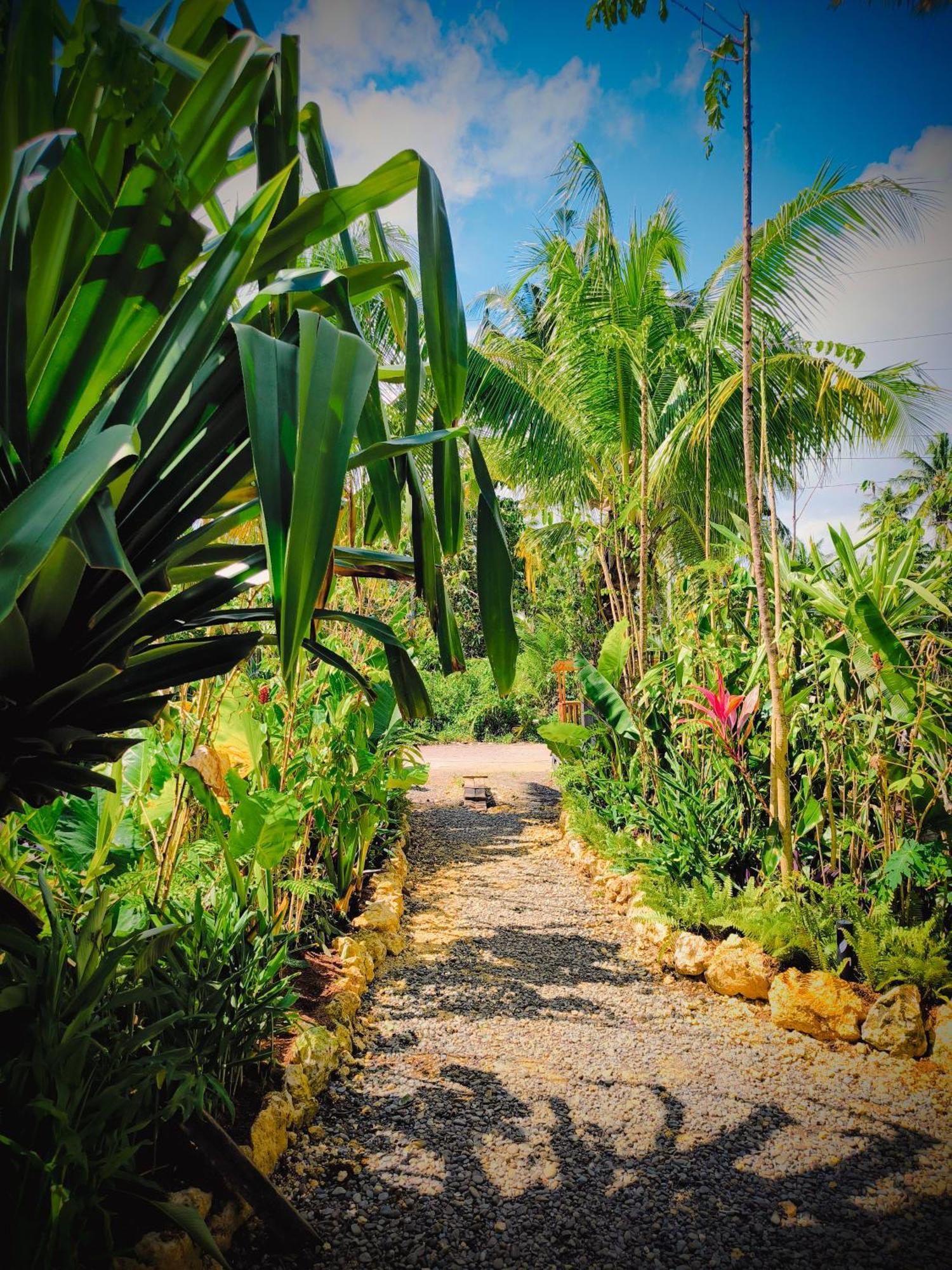 The Ohm Siargao Resort ゼネラル・ルナ エクステリア 写真