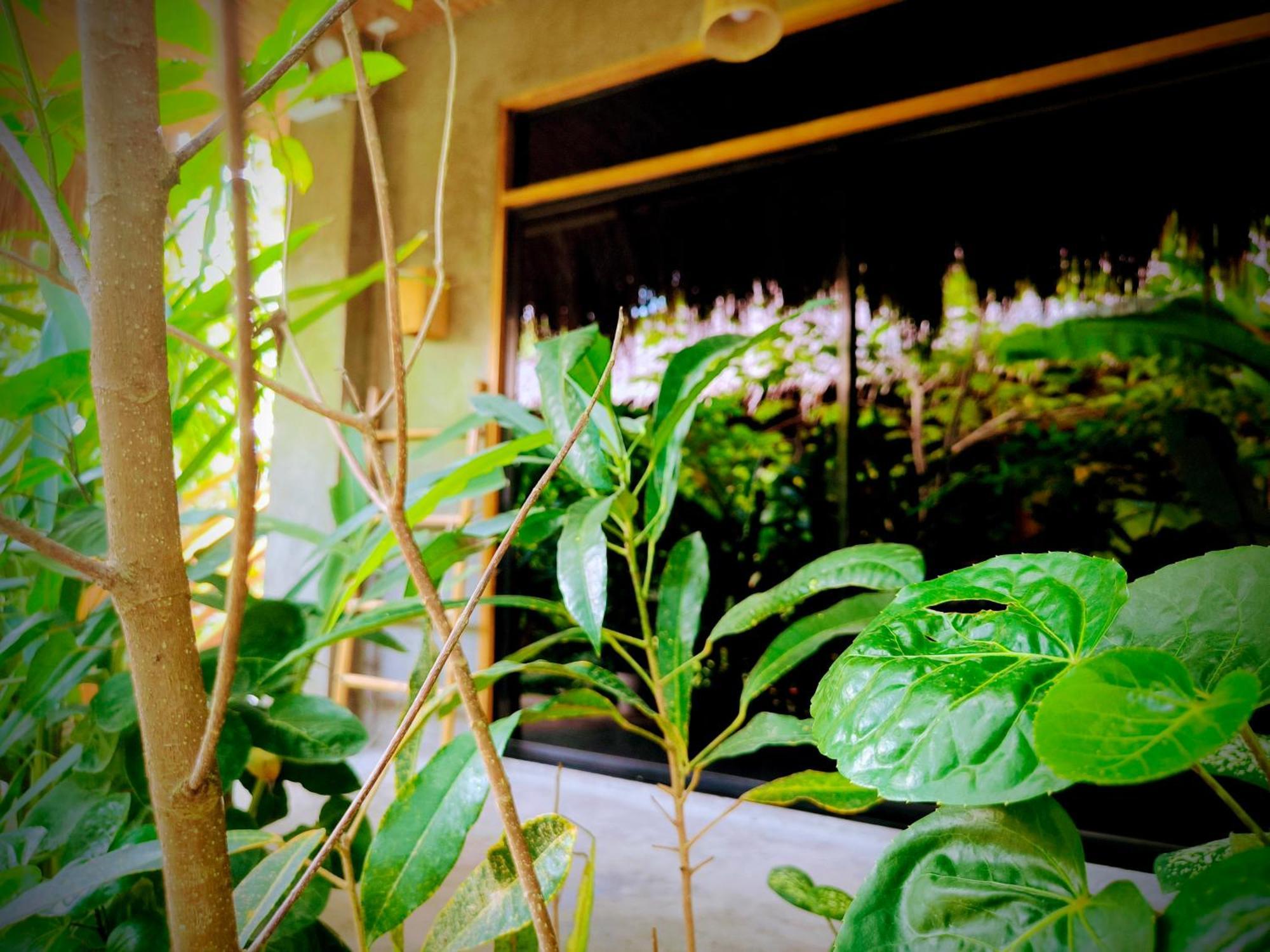 The Ohm Siargao Resort ゼネラル・ルナ エクステリア 写真