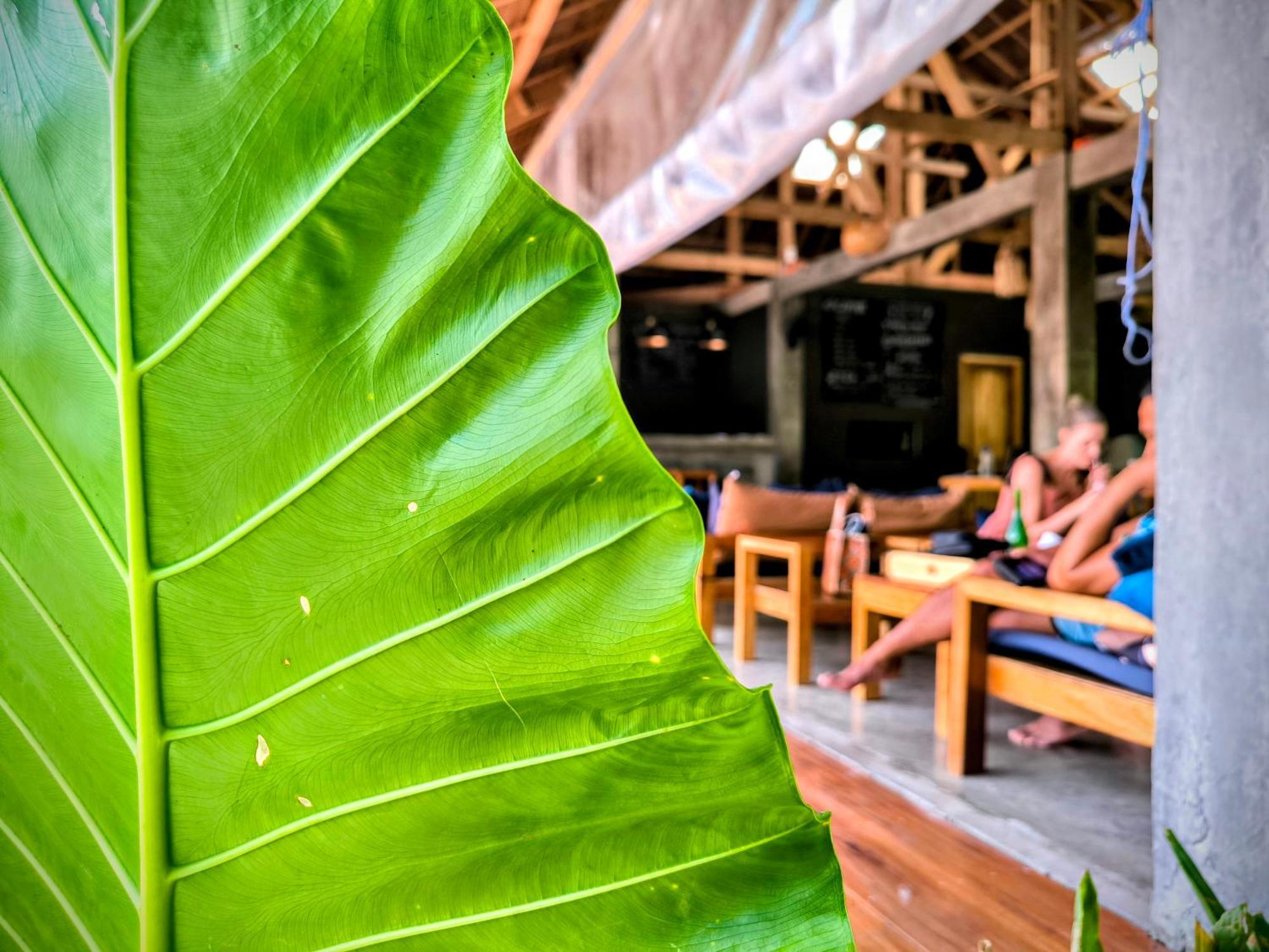 The Ohm Siargao Resort ゼネラル・ルナ エクステリア 写真